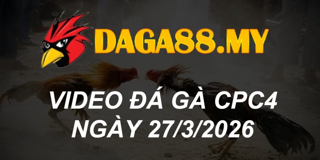 VIDEO GÀ CPC4 NGÀY 27/3/2026