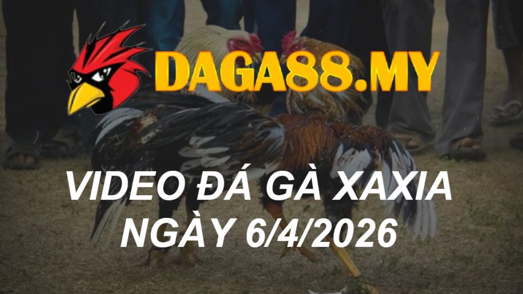 VIDEO GÀ XAXIA NGÀY 6/4/2026